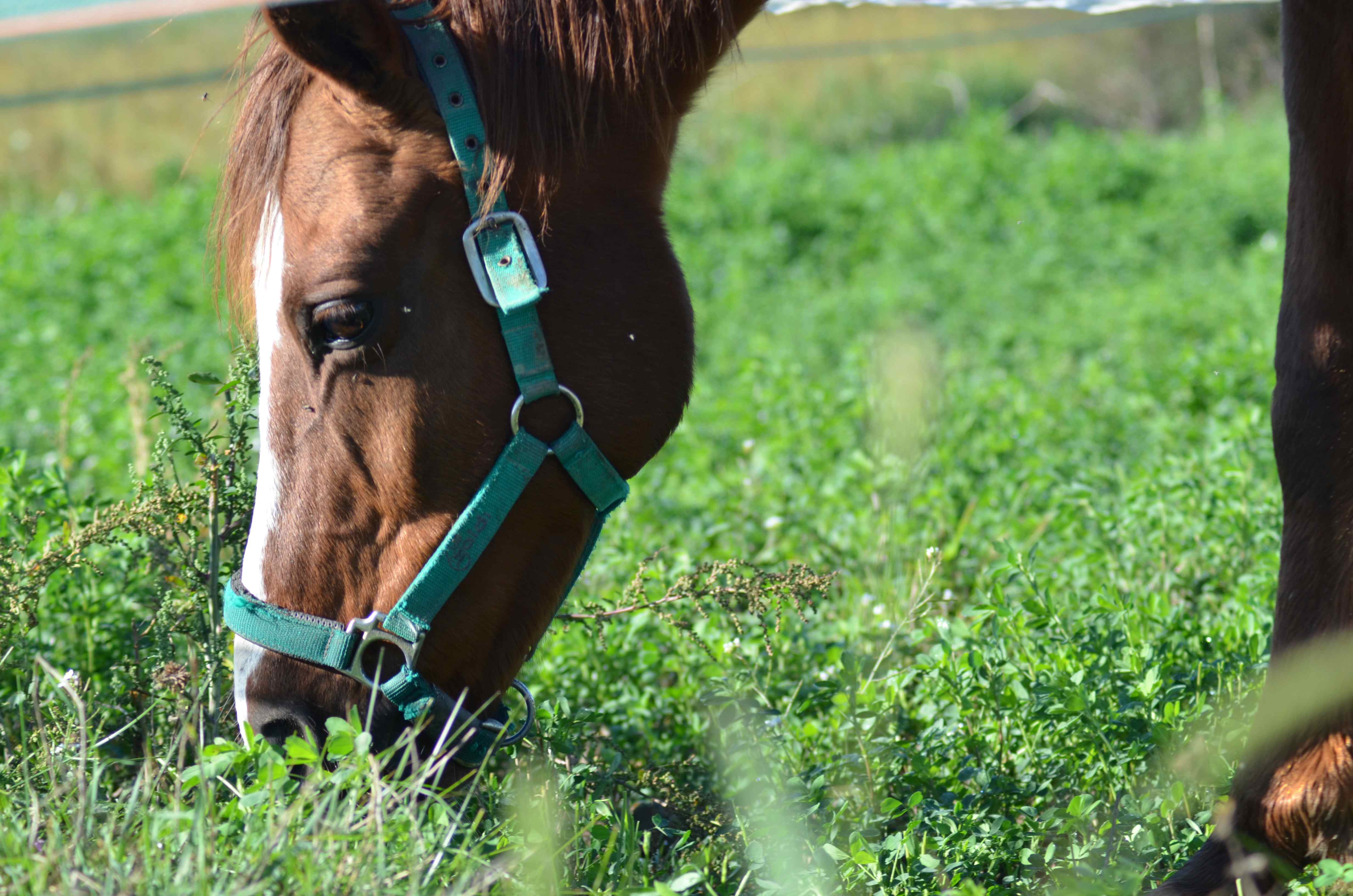 No s'ha trobat l'arxiu